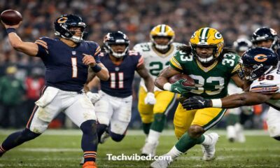 Chicago Bears vs Green Bay Packers Match Player Stats
